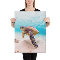 Ocean Picture Canvas 18x24 Canvas White - Polynesian Pride