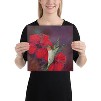 Hibiscus Hummingbird Canvas 12x12 Canvas White - Polynesian Pride