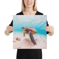 Ocean Picture Canvas 16x16 Canvas White - Polynesian Pride