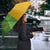 Cook Islands Language Week Umbrella Tatau Pattern and Rarotongan Alphabet - Polynesian Pride