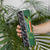 Custom Aotearoa South Africa Rugby Freedom Cup Skinny Tumbler Maori Silver Fern Art and Sporty Flag SA - Polynesian Pride
