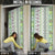 Hawaii Makahiki Turtle Door Cover Green Tapa Pattern - Polynesian Pride