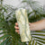 Vintage Puakenikeni and Maile Lei Skinny Tumbler Hawaiian Style Tribal Tapa Double Strand Lei