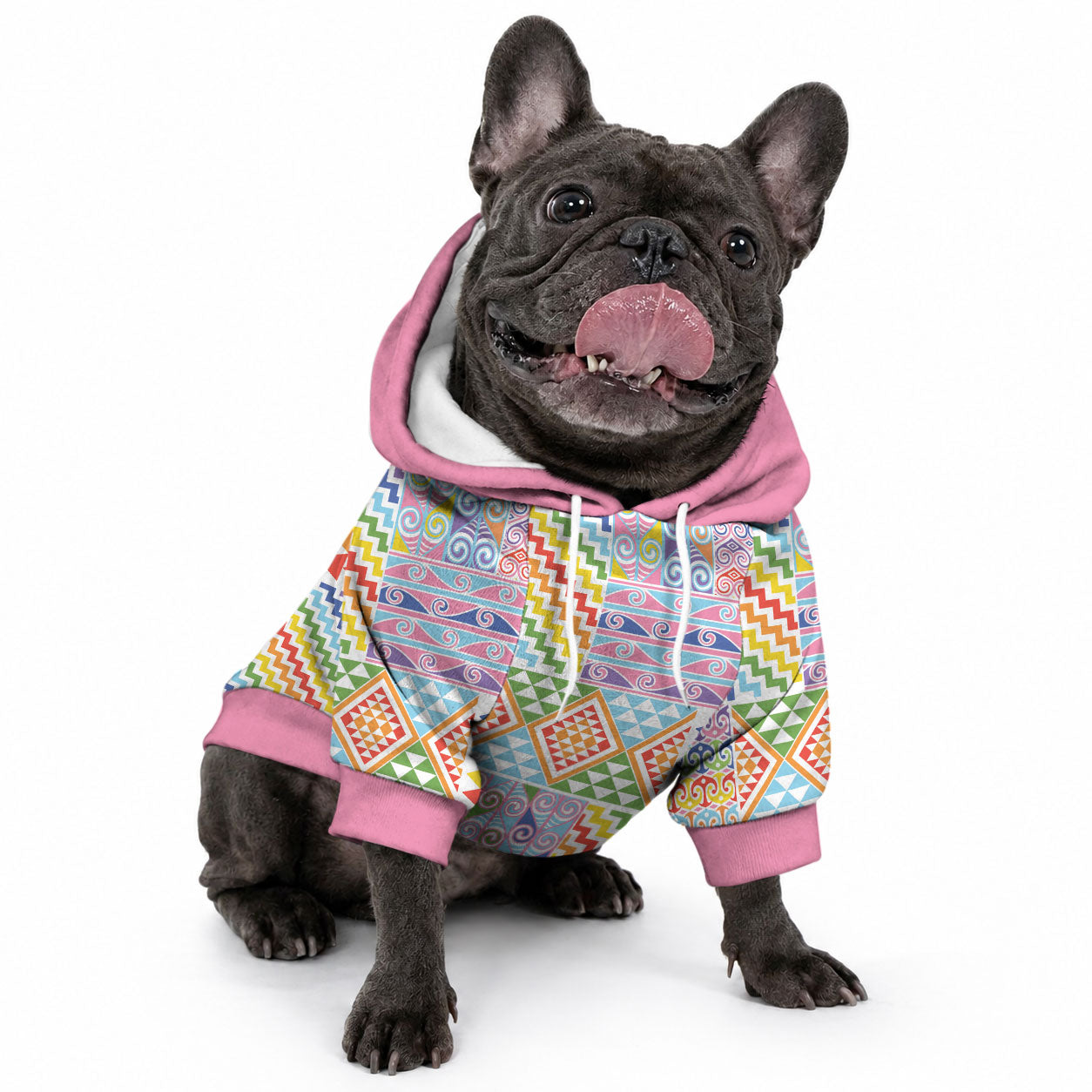 Aotearoa Kowhaiwhai Taniko Patchwork Rainbow Motifs Pet Hoodie