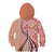 Aloha Vintage Palaka Floral Hawaiian Quilt Kid Hoodie Ulaula Motif - Polynesian Pride