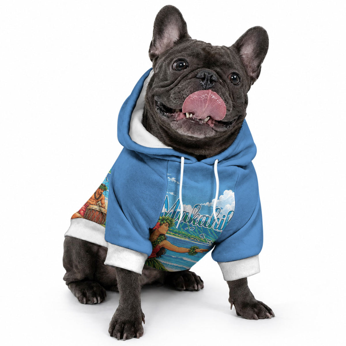 Hawaii Makahiki Pet Hoodie Hawaiian New Year Tropical Vibes LT14 - Polynesian Pride