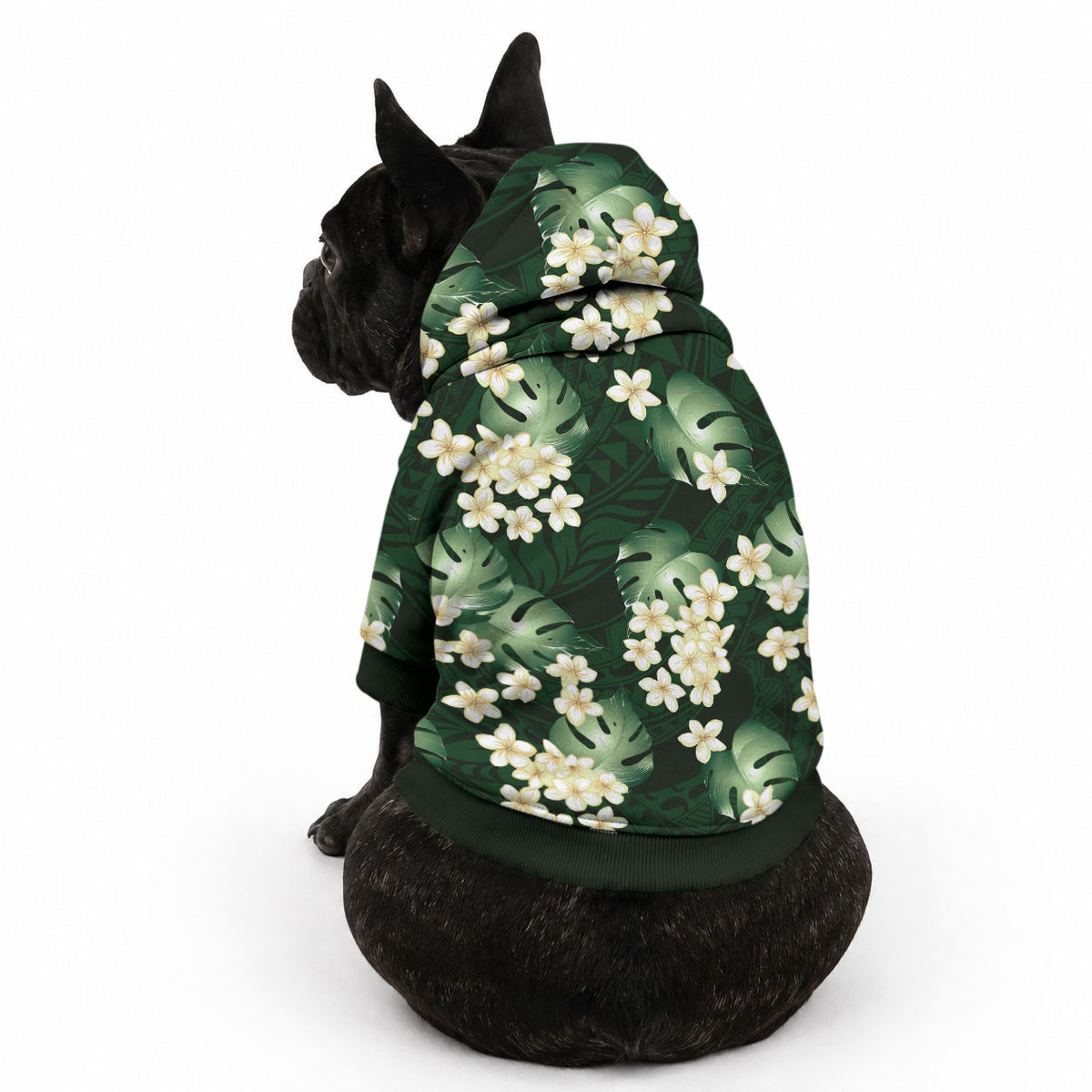 Green Tropical Hawaii Pet Hoodie Seamless Monstera Plumeria Hawaiian Pattern