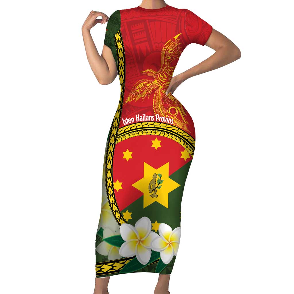 Personalised PNG Isten Hailans Provins Family Matching Short Sleeve Bodycon Dress and Hawaiian Shirt Papua New Guinea Plumeria Melanesian Pattern - Polynesian Pride