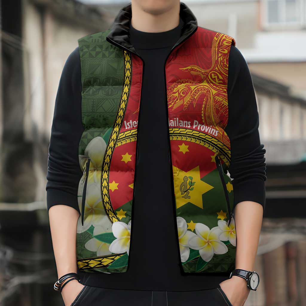 Personalised PNG Isten Hailans Provins Sleeveless Puffer Jacket Papua New Guinea Plumeria Melanesian Pattern - Polynesian Pride